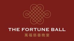 Fortune Ball 2023 Donation banner