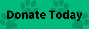 pet lovers donate button