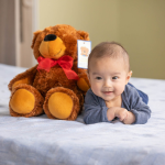 Click here for more information about Buy a Bear for a Loved One